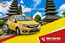 Brio Matic Lama
