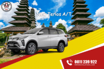 New Terios A/T